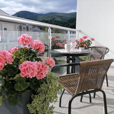 Svjetlanalex 2 Apartment บันยา โควิลยาชา ภายนอก รูปภาพ