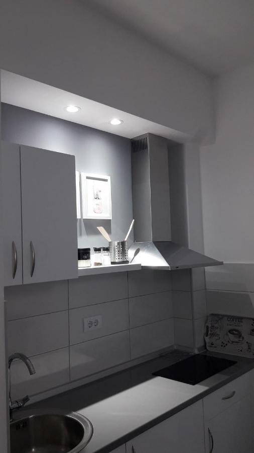 Svjetlanalex 2 Apartment บันยา โควิลยาชา ภายนอก รูปภาพ