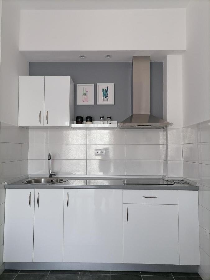 Svjetlanalex 2 Apartment บันยา โควิลยาชา ภายนอก รูปภาพ